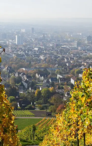 Foto von Heilbronn aus den Weinbergen auf die Stadt fotografiert