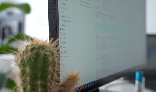 Picture of a cactus and screen